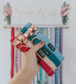 Dog Collar - Blumond 16 Dog Collar - Blumond -Furfinity Cheap Shop Collar FallCollection2020