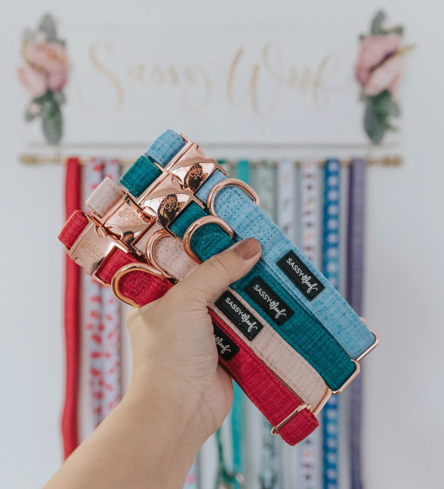 Dog Collar - Blumond 7 Dog Collar - Blumond - Image 5