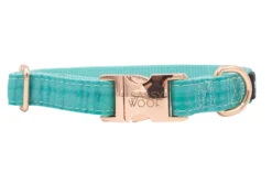 Collar Three Piece Bundle - Wag Your Teal -Furfinity Cheap Shop Collar WagYourTeal