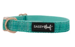 Dog Four Piece Bundle - Wag Your Teal -Furfinity Cheap Shop Collar WagYourTeal2 2