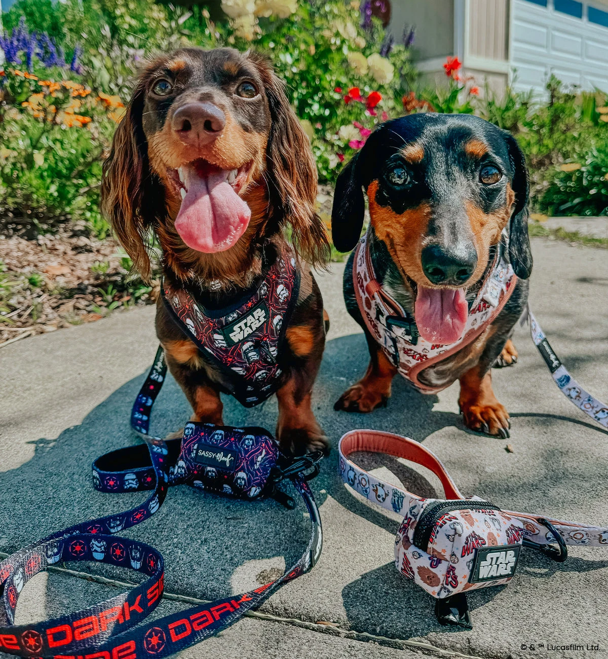 Dog Waste Bag Holder - STAR WARS™ The Rebel Alliance 8 Dog Waste Bag Holder - STAR WARS™ The Rebel Alliance - Image 6