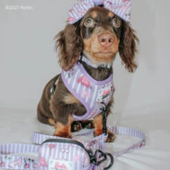 Dog Waste Bag Holder - BARBIE™ Closet Goals -Furfinity Cheap Shop DACH VADER 2 10fe34fb 0185 4d75 99f9 d39260b8743a