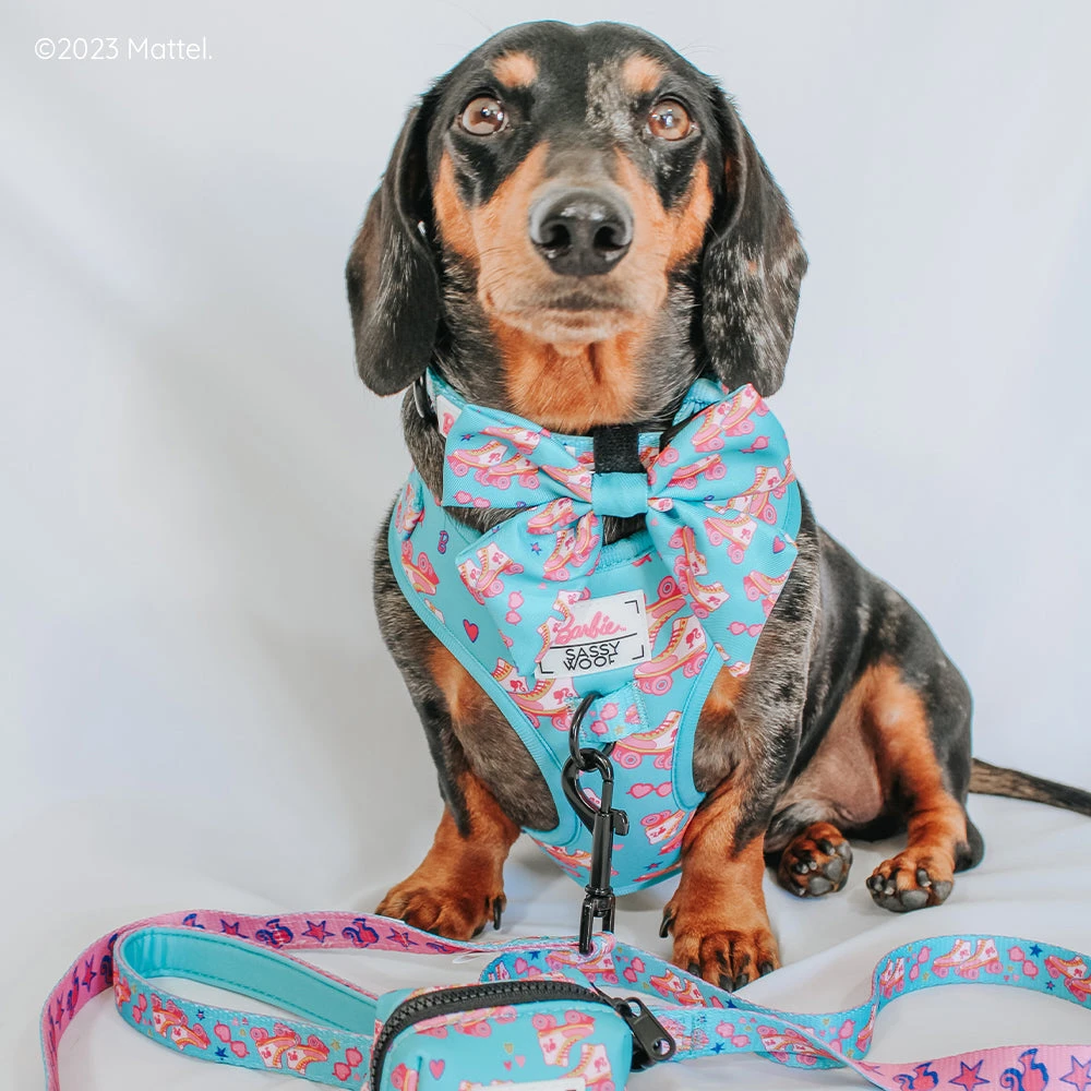 Dog Sailor Bow - BARBIE™ On A Roll 7 Dog Sailor Bow - BARBIE™ On A Roll - Image 5