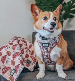 Dog Four Piece Bundle - STAR WARS™ The Rebel Alliance -Furfinity Cheap Shop DADAILYCHEESE 3