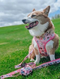 Dog Waste Bag Holder - STAR WARS™ Princess Leia -Furfinity Cheap Shop DADAILYCHEESE 2 50e4a788 fc28 4f31 b1c6 dd88447ea439