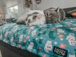 Pet Blanket - Purrs & Petals -Furfinity Cheap Shop DALIANDRAMSEY 2 15801f20 eb71 4718 b364 9df5e5628eba