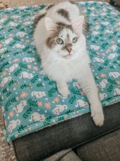 Pet Blanket - Purrs & Petals -Furfinity Cheap Shop DALIANDRAMSEY 3 7917ce23 e3d6 4f8e a42a 31e972838720