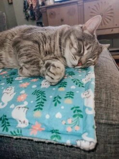 Pet Blanket - Purrs & Petals -Furfinity Cheap Shop DALIANDRAMSEY 4 9900258c d4d2 4f70 884f 2ddd412f1cd6