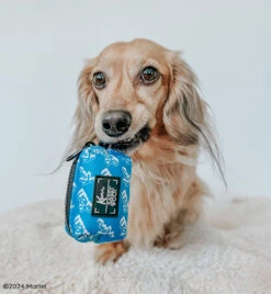 Dog Waste Bag Holder - KEN™ -Furfinity Cheap Shop DASH THEDOXIE 3
