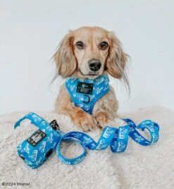 Dog Waste Bag Holder - KEN™ -Furfinity Cheap Shop DASH THEDOXIE f2fb1620 bdb4 45e3 acc5 6195cee74129