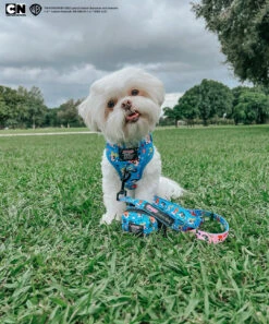 Dog Two Piece Bundle -The Powerpuff Girls™ (Blue) -Furfinity Cheap Shop DECLAN THE ONE EYED PRIPAWD 2 73b22b28 07b4 45ff b6d5 b2bc5fdd6eba