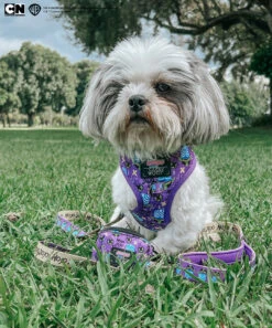 Dog Waste Bag Holder - Mojo Jojo™ -Furfinity Cheap Shop DECLAN THE ONE EYED TRIPAWD 1 82fe0ca5 e209 4703 bf95 3bdc926142af