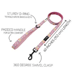 Dog Two Piece Bundle - Disney's Aurora -Furfinity Cheap Shop DISNEY AURORA LEASH GUIDE e0093afd 3356 4ff8 bad4 eb9f33d6ba15