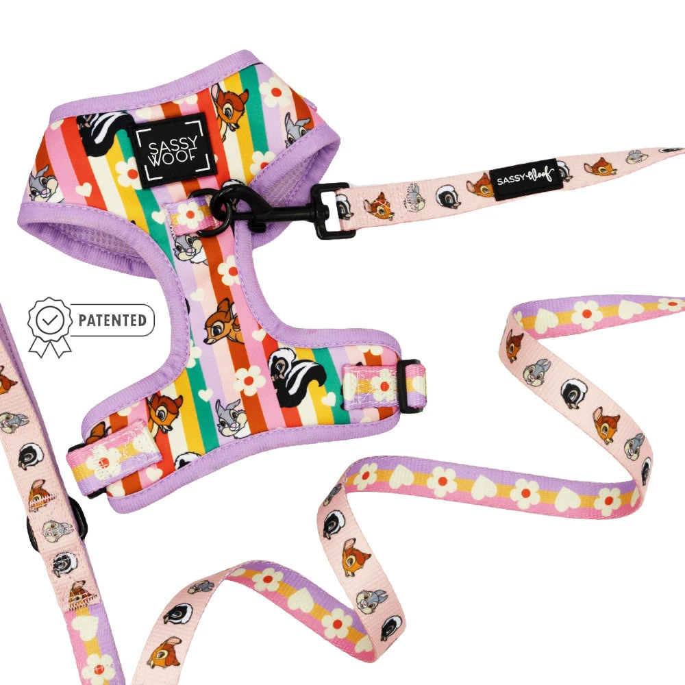 Dog Two Piece Bundle - Disney's Bambi 3 Dog Two Piece Bundle - Disney's Bambi