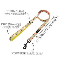 Dog Two Piece Bundle - Disney's Belle -Furfinity Cheap Shop DISNEY BELLA LEASH GUIDE 1496379a 8b57 45b6 9195 ee56ff112f74