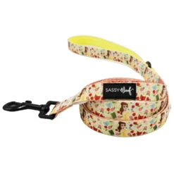 Dog Two Piece Bundle - Disney's Belle -Furfinity Cheap Shop DISNEY BELLA LEASH fc9beeaf 5848 4130 9657 de34e1968d4a