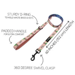 Dog Two Piece Bundle -Disney's Mulan 13 Dog Two Piece Bundle -Disney's Mulan -Furfinity Cheap Shop DISNEY MULAN LEASH GUIDE 178877b2 fcf3 44b4 ab6d 20824befb87d