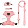 Dog Four Piece Bundle - Dolce Rose -Furfinity Cheap Shop DRBundle