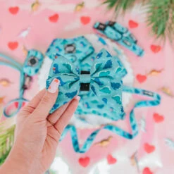 Dog Sailor Bow - Dino Darling -Furfinity Cheap Shop Dino Darling Dog Collection 4