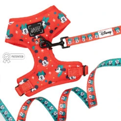 Dog Two Piece Bundle -Disney Holiday Collection