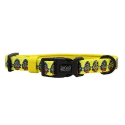 Dog Four Piece Bundle - Wonder Woman™ -Furfinity Cheap Shop Dog DC WonderWoman collar 1 b937a406 115c 4bb7 bde5 c3acc8090eed