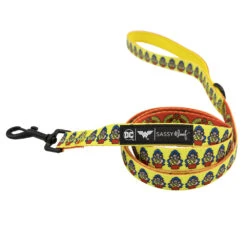 Dog Four Piece Bundle - Wonder Woman™ -Furfinity Cheap Shop Dog DC WonderWoman leash 26e08735 7094 45be a9c9 8b98c0114912