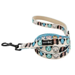 Dog Two Piece Bundle - Mixed With Love -Furfinity Cheap Shop Dog Rescue leash 1 1