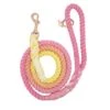 Dog Rope Leash - Sunkissed -Furfinity Cheap Shop Dog Rope Leash Sunkissed