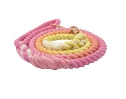 Dog Rope Leash - Sunkissed -Furfinity Cheap Shop Dog Rope Leash Sunkissed 1