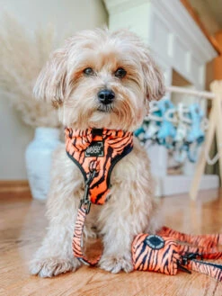 Dog Adjustable Harness - Paw Of The Tiger -Furfinity Cheap Shop Dog Safari Collection 20 7846ecbf bc13 49c5 8cc3 88a41c5da3be