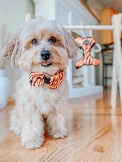 Dog Bowtie - Paw Of The Tiger -Furfinity Cheap Shop Dog Safari Collection 21
