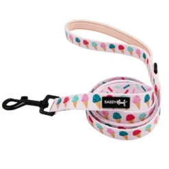 Dog Four Piece Bundle - A Sprinkle Of Sass -Furfinity Cheap Shop Dog summer23 icecream leash