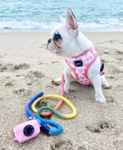 Dog Waste Bag Holder - Dolce Rose -Furfinity Cheap Shop DolceRose d3ecdd87 6960 4a85 afdd 78abaaf807cd