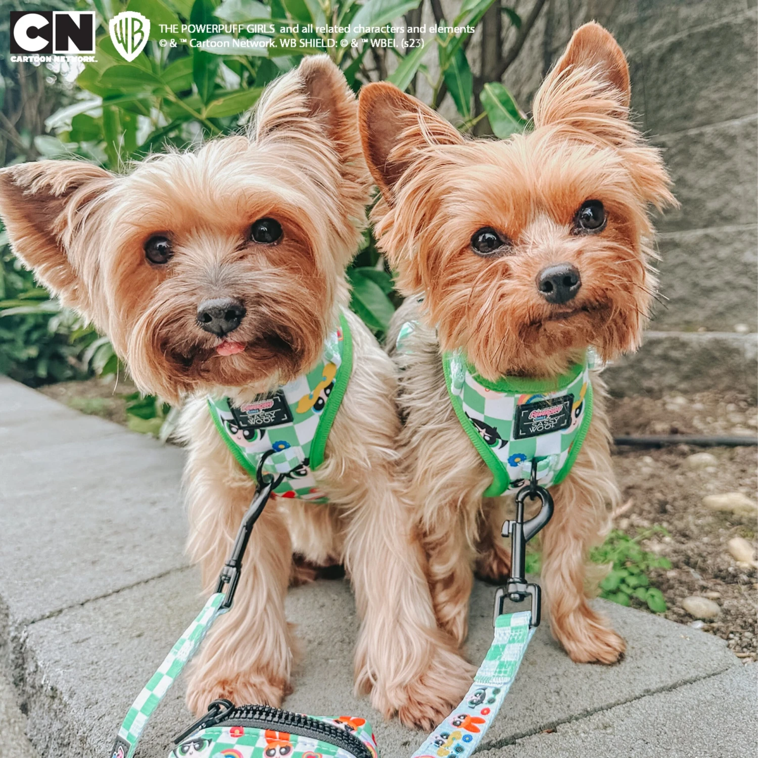 Dog Two Piece Bundle -The Powerpuff Girls™ (Green) 12 Dog Two Piece Bundle -The Powerpuff Girls™ (Green) - Image 10