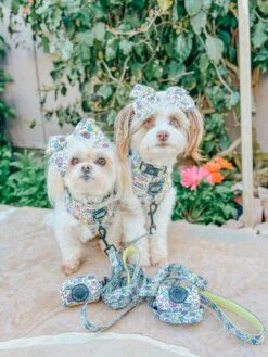 Dog Waste Bag Holder - Raise The Woof -Furfinity Cheap Shop EMI AND JOJO 1 9f695436 9608 4805 820a 9d3d86f02319