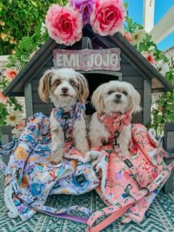 Dog Sailor Bow - Disney's Jasmine -Furfinity Cheap Shop EMI AND JOJO 3