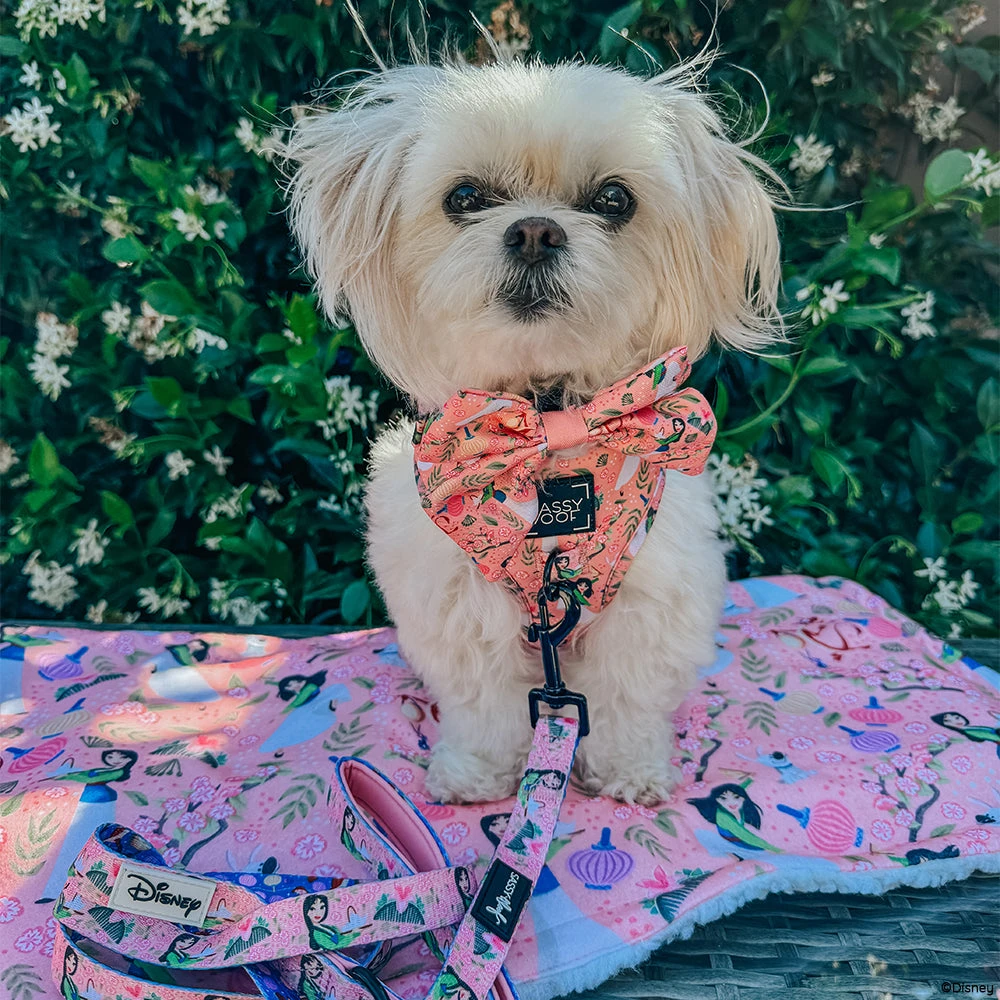 Dog Two Piece Bundle -Disney's Mulan 10 Dog Two Piece Bundle -Disney's Mulan - Image 8