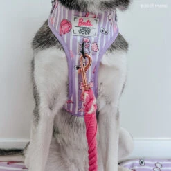 Dog Rope Leash - BARBIE™ 15 Dog Rope Leash - BARBIE™ -Furfinity Cheap Shop EMMIETHEHUSKY 1