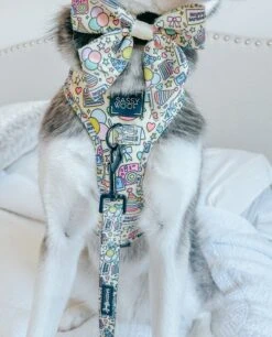 Dog Sailor Bow - Raise The Woof -Furfinity Cheap Shop EMMITHEHUSKYY 4 9df4bb61 561e 48d5 b74b 9897ddd3e433