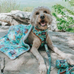 Dog Waste Bag Holder - Scooby-Doo™ -Furfinity Cheap Shop ERTZTHEMINIDOOD 30581a90 a617 4c20 a855 45c0c66e20b8