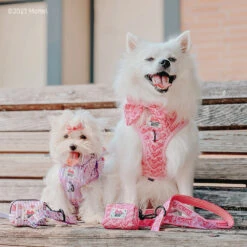 Dog Four Piece Bundle - BARBIE™ Closet Goals 33 Dog Four Piece Bundle - BARBIE™ Closet Goals -Furfinity Cheap Shop ESKI.MOKI 58399a6b 39df 4df9 adb2 085b1ad3fcf2