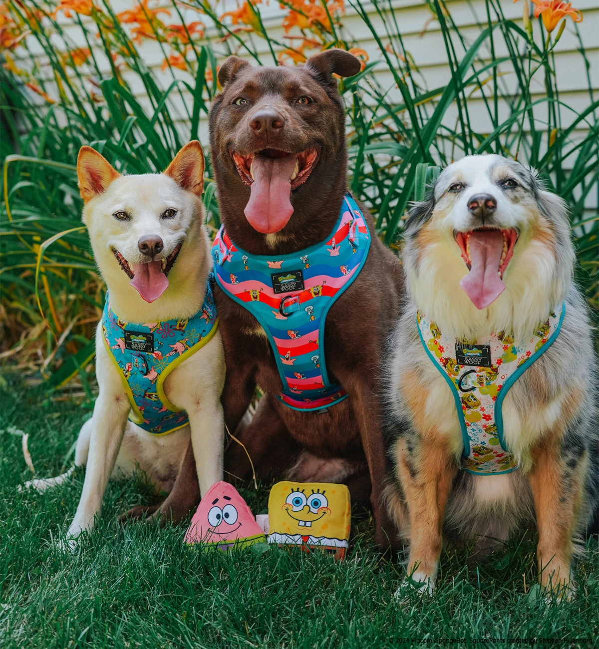 Dog Toy - SpongeBob SquarePants™ 7 Dog Toy - SpongeBob SquarePants™ - Image 5