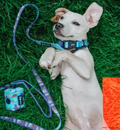 Collar Three Piece Bundle - STAR WARS™ The Mandalorian™ -Furfinity Cheap Shop EUREKAPAWS 7