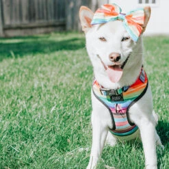 Dog Sailor Bow - Love You Fur You -Furfinity Cheap Shop EUREKAPAWS10