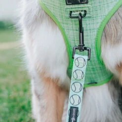 Dog Leash - Serving Up Sass -Furfinity Cheap Shop EUREKAPAWS2