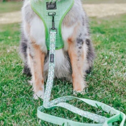 Dog Leash - Serving Up Sass -Furfinity Cheap Shop EUREKAPAWS 08780132 2b54 427c 90e8 f0130063244b