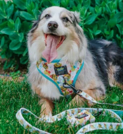 Dog Waste Bag Holder - SpongeBob SquarePants™ Bikini Bottom -Furfinity Cheap Shop EUREKAPAWS 8949671c ecdb 4665 b2ba 96a3b346ec69