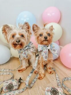 Dog Sailor Bow - Raise The Woof -Furfinity Cheap Shop EVEE THE YORKIE 1 3252e0ef 5cbf 4fc0 b305 08a74054567b