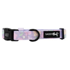 Dog Collar - Fleur De Sass -Furfinity Cheap Shop FLEUR DE SASS COLLAR
