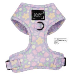 Dog Adjustable Harness - Fleur De Sass